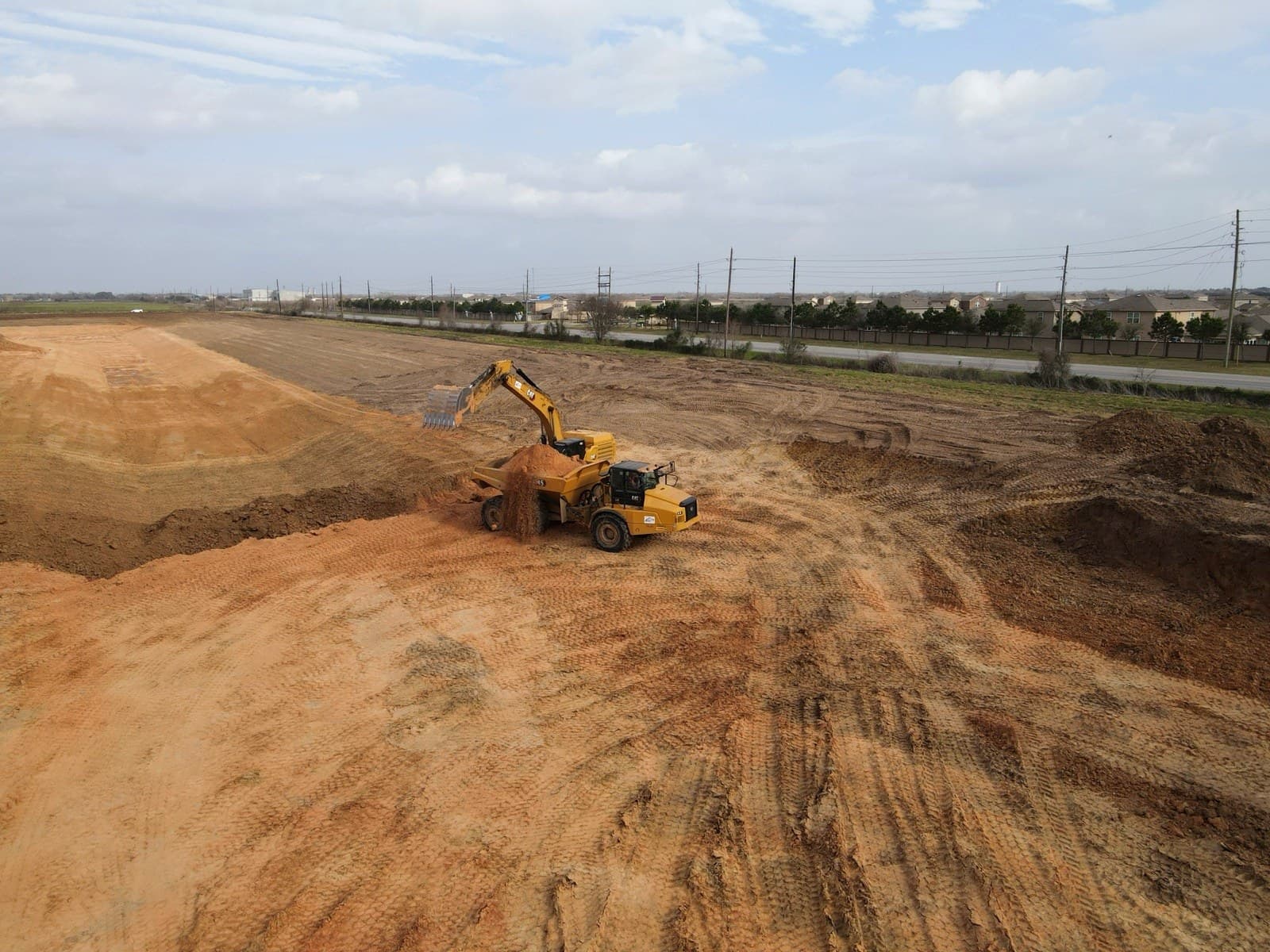 Cat hard work shaping community pad
